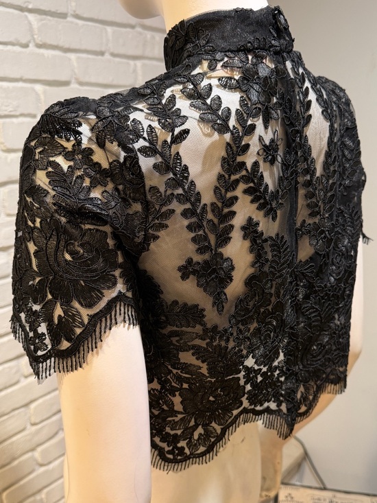 Stone Cold Fox Black Embroidered Lace Crop Top M Mock Neck Sheer Luxe NWOT - Picture 12 of 13